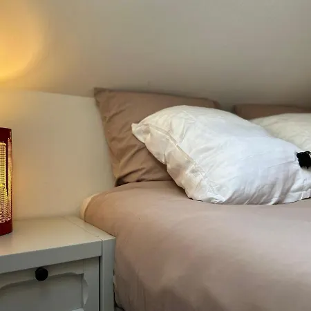 Duplex Loft - Central&home Cinéma Annecy